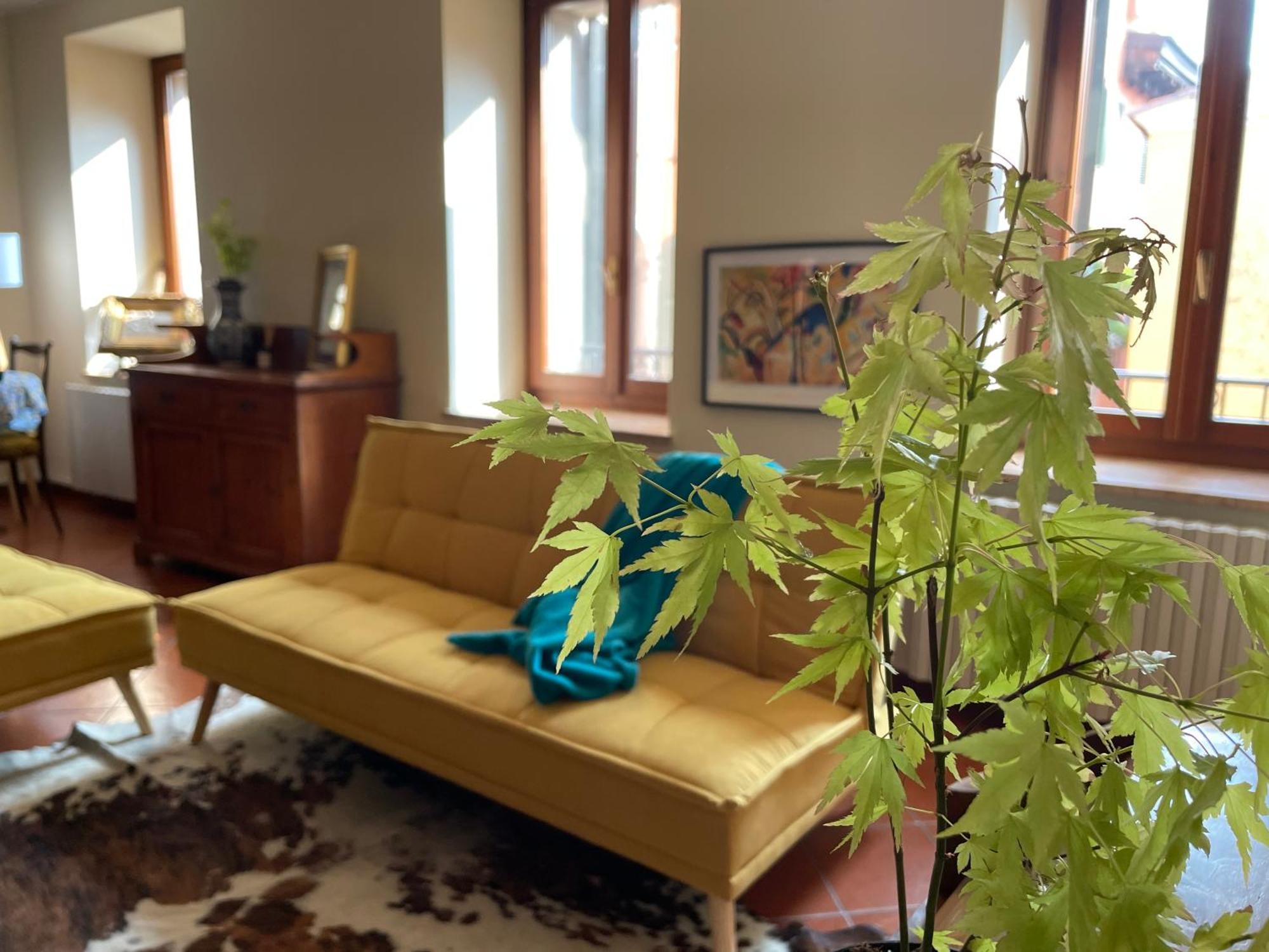 Montecchi House Apartman Verona Kültér fotó