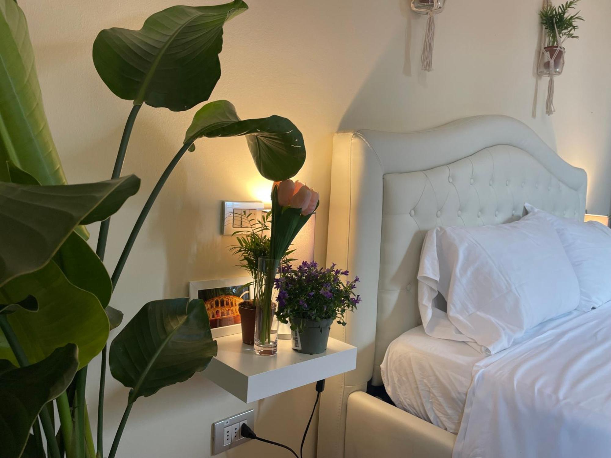 Montecchi House Apartman Verona Kültér fotó